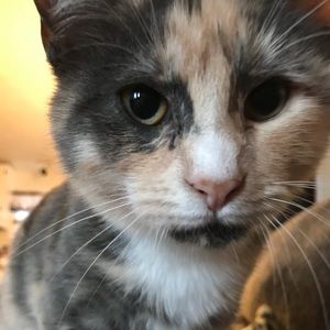 Meet your Posher, Kaitlyn